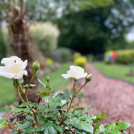 L'attente Detente A 200 M Du Parc 