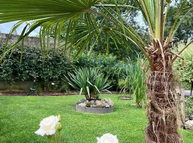 L'attente Detente A 200 M Du Parc 