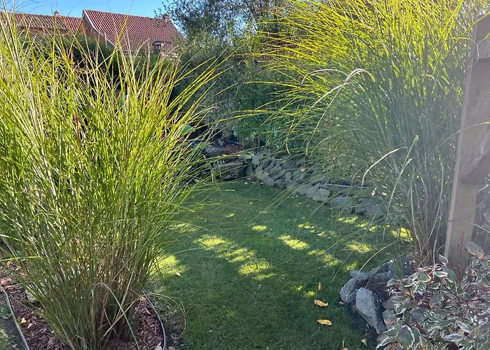 L'attente Detente A 200 M Du Parc 